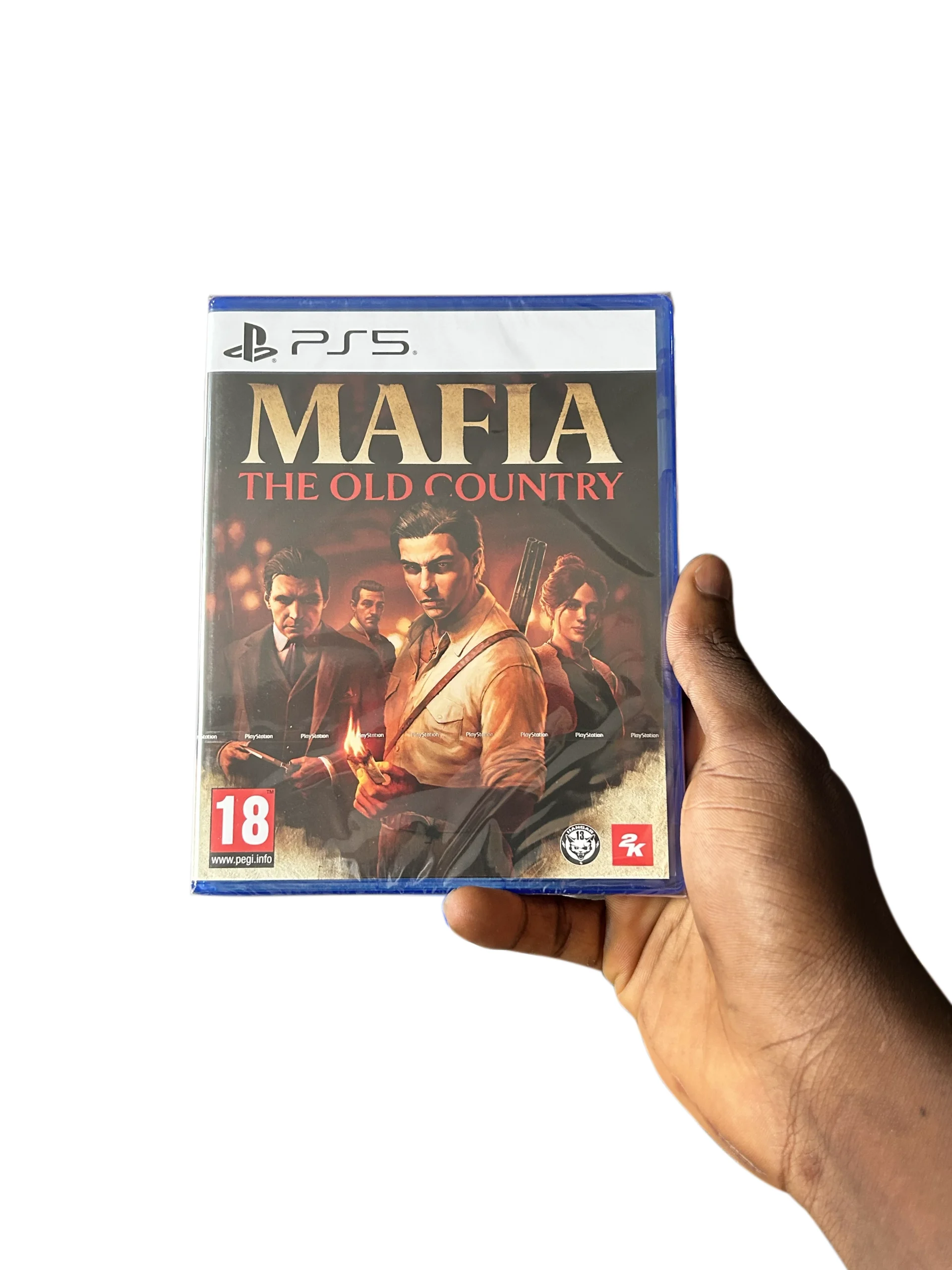 Mafia: The Old Country